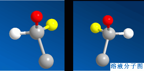 威尼斯人游戏平台